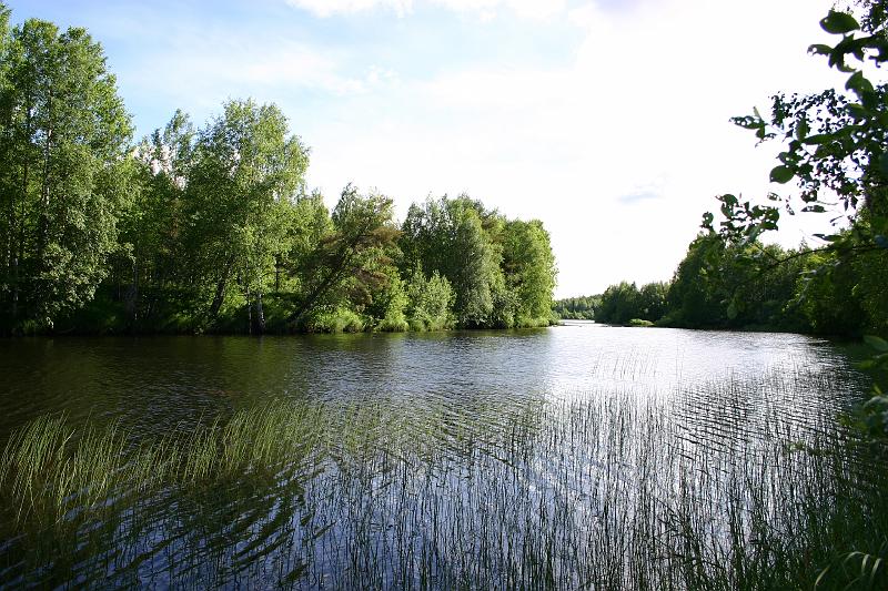 lehmila_juhannus_2005 031.jpg